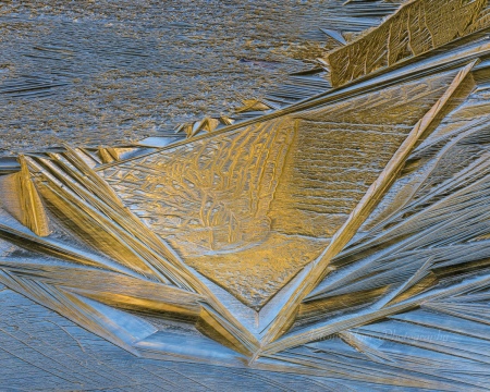 Delicate Spring Ice