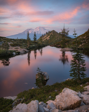 Tranquil Heart