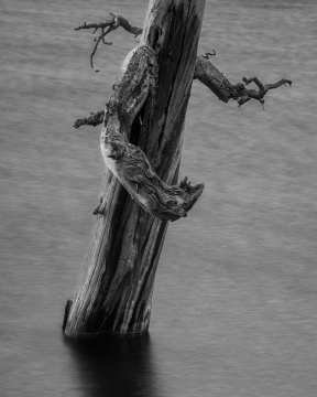 Dancing Alone