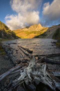Beaver Dam Bones