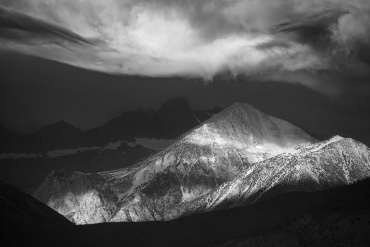 Brooding Palisade