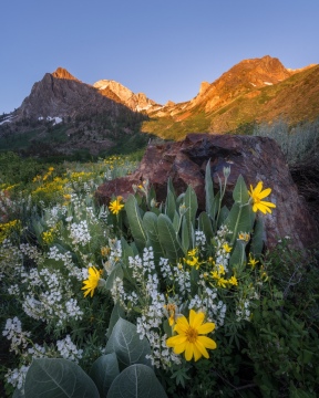 Canyon Garden