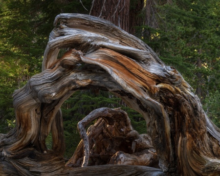 Decaying Arch