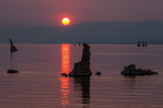 Ere the Red Sun Rises