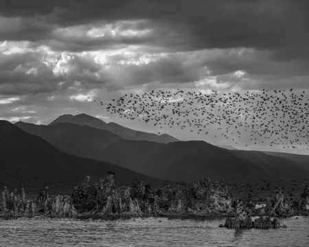 In Formation