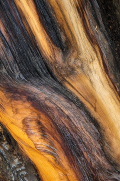 Lightning Struck Ancient