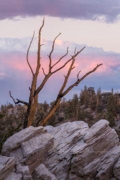 Sunset Glow with the Ancients