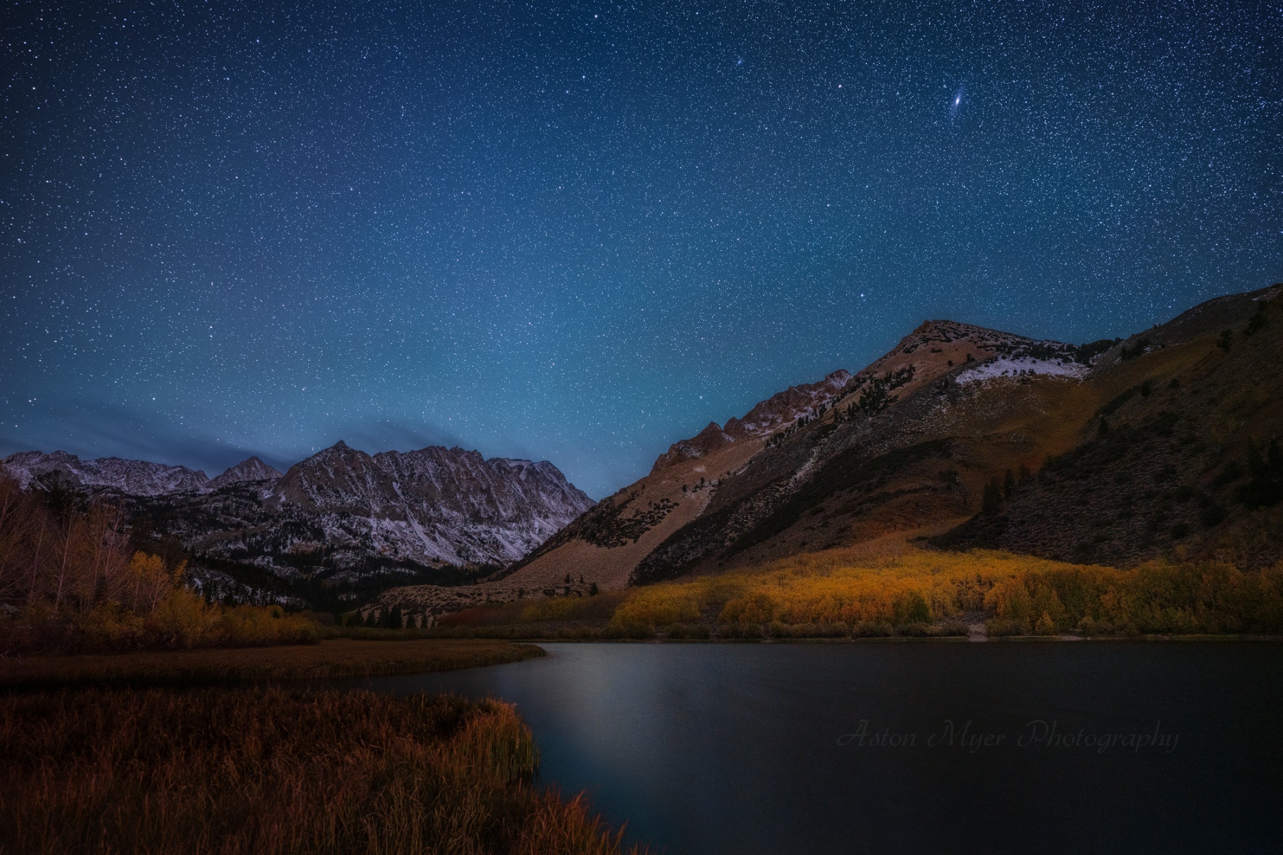 Aspen by Starlight