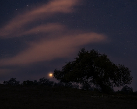 Conjunction of God Kings