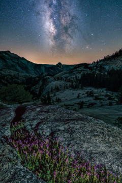 Half Dome Tea Kettle