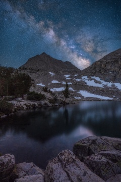 Moonless Near the Tree Line