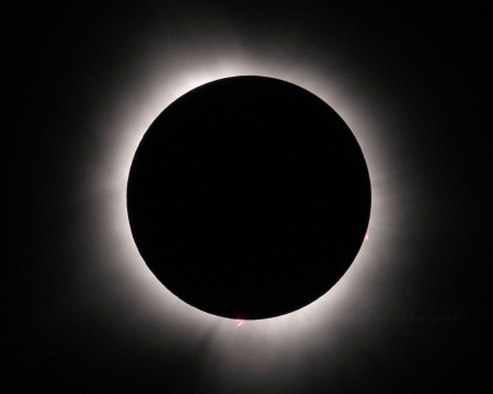 Prominences