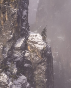 Cliff Dweller